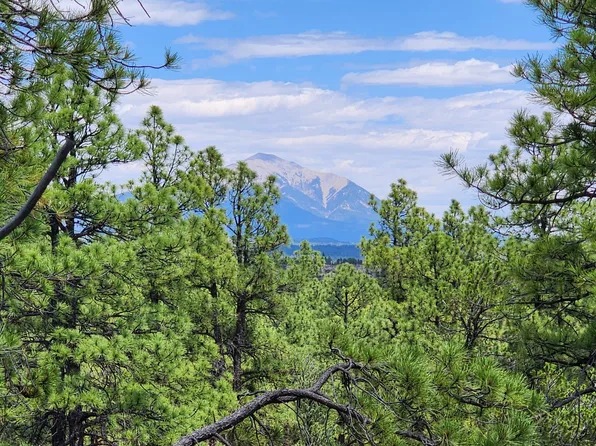 Rancho La Garita Lot 1183, Weston, CO 81091