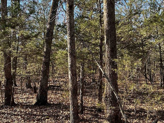 2nd image of Wolf Hollow Cir