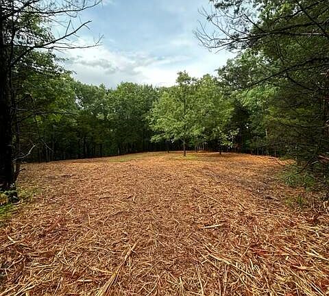 5th image of Minor Hill Rd
