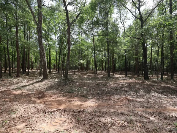 2190 County Road 156, New Brockton, AL 36351