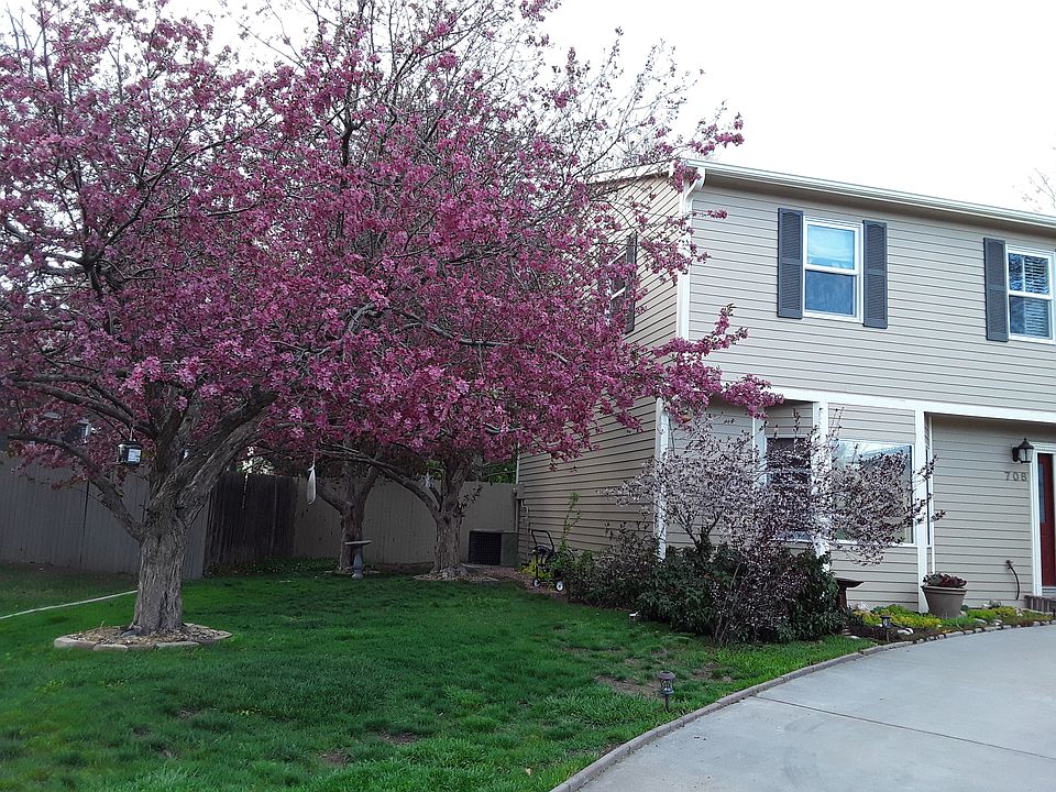 Spring Time :)