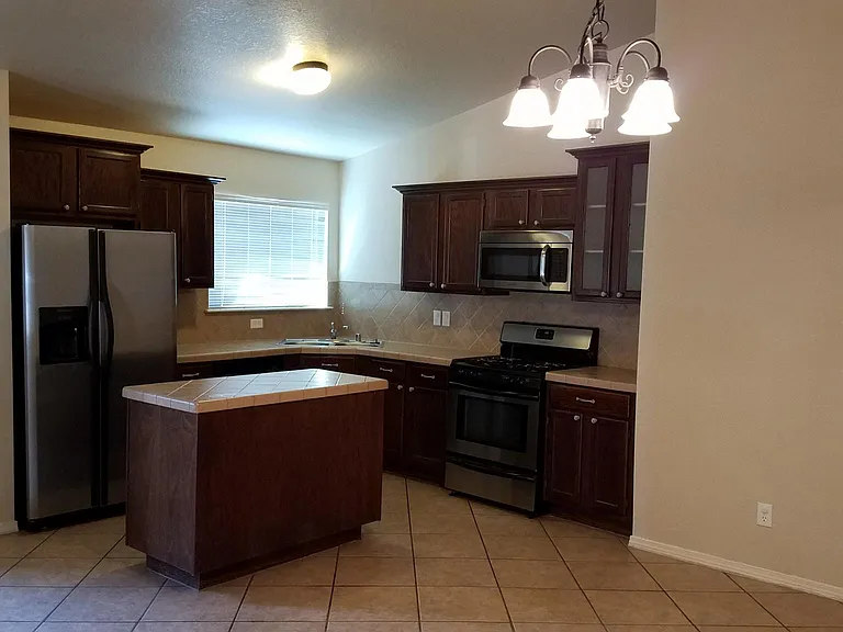 12339 Sombra Grande Dr — Photo 12