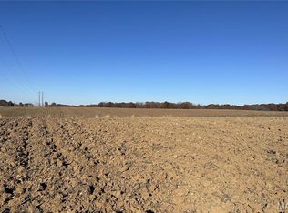 42/ACRE S Snyder Rd, Troy, MO 63379