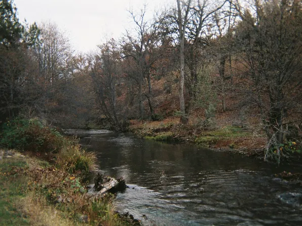 Desavado, Hornbrook, CA 96044