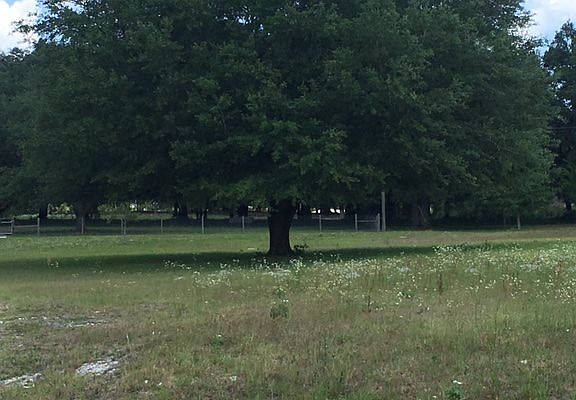 3rd image of 287 NW Armadillo Ln