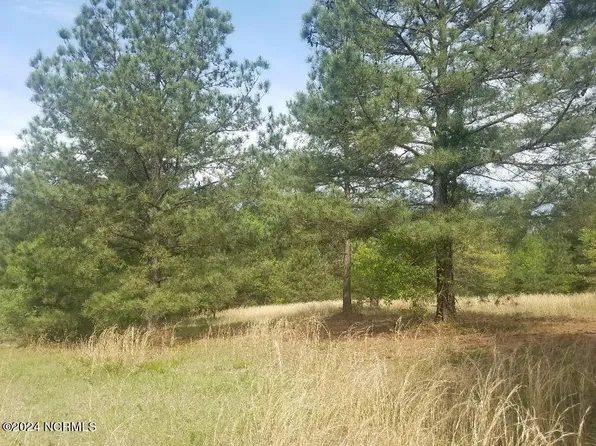 425 Broken Ridge Trail Trail, West End, NC 27376