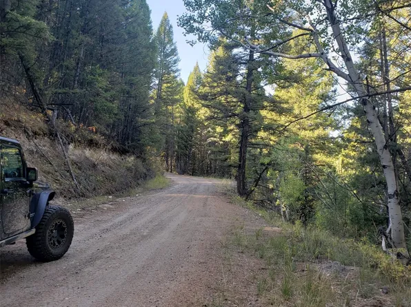 Gonq Rd, Philipsburg, MT 59858