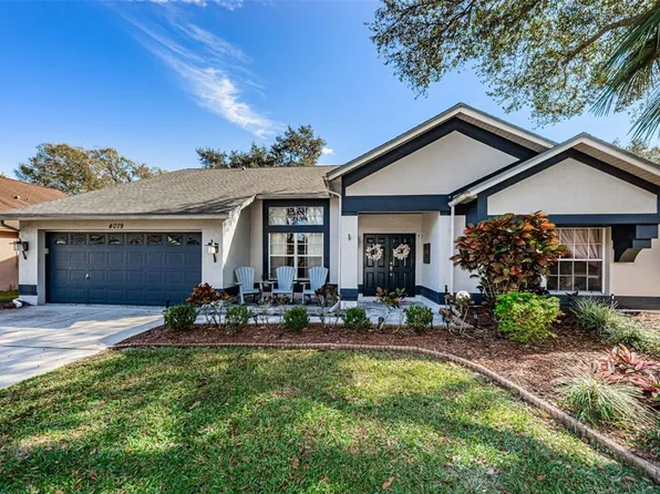 4019 Eagle Cove West Dr, Palm Harbor, FL 34685