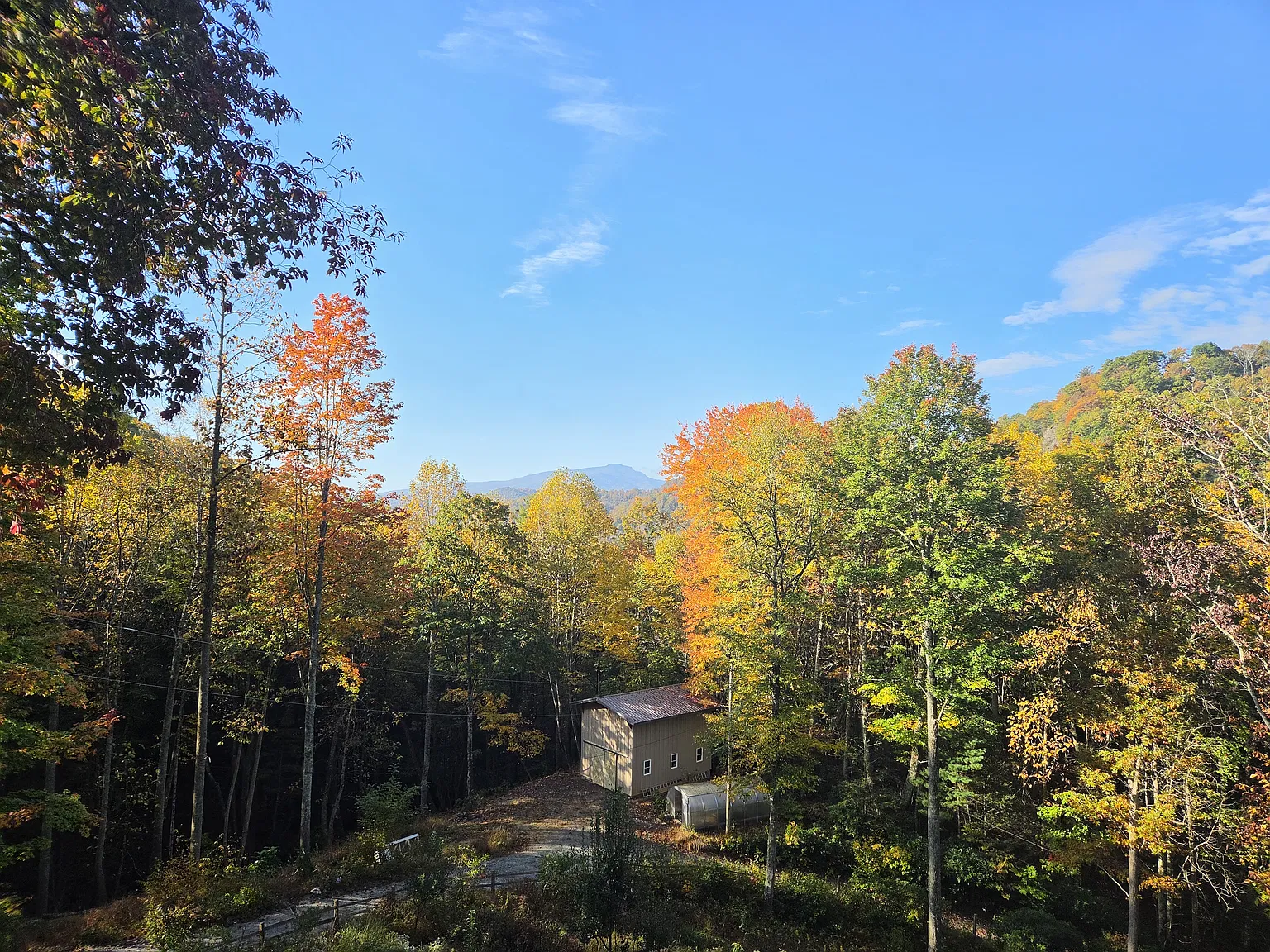 Arnett Hollow Rd, Vilas — Photo 3