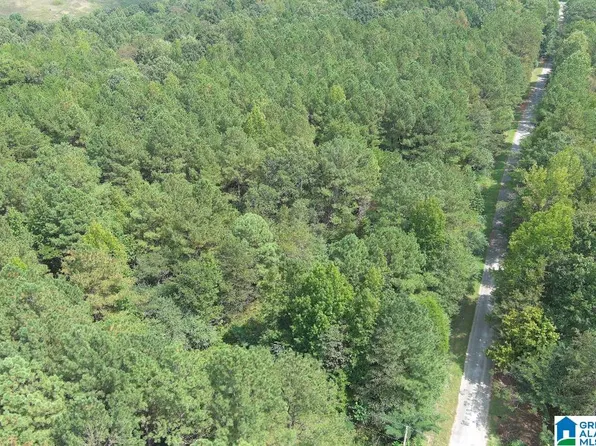 Wright Rd #0, Townley, AL 35587