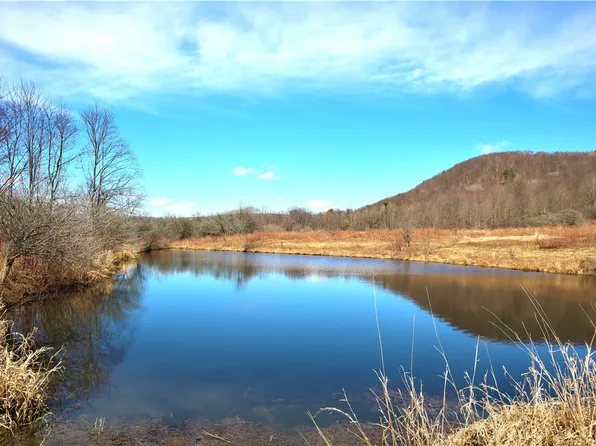 5306 Route 16 Lot 11, Hinsdale, NY 14743