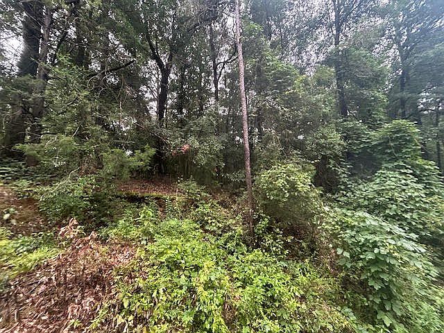2nd image of Clairborne Jones Rd