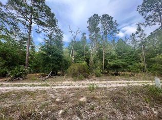 NE 94th Ave LOT 20 & 21, Bronson, FL 32621