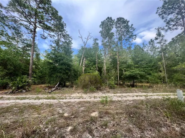 NE 94th Ave Lot 20 & 21, Bronson, FL 32621