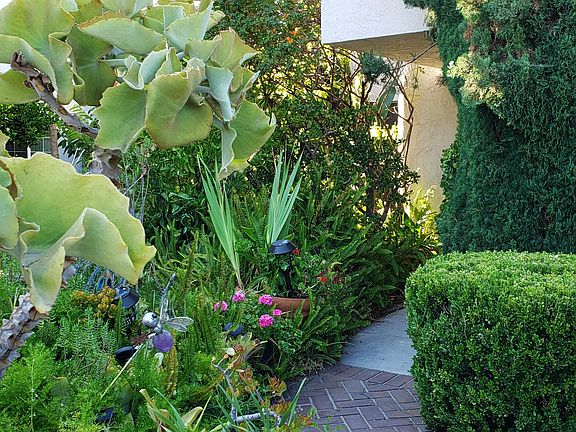 Front walkway