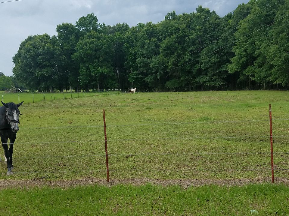 2nd image of Notobby Ln
