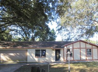 12007 Park Ave, Seffner, FL 33584