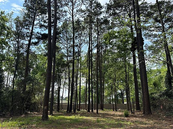 4th image of 775 Huckleberry Rd