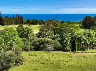 29 2461st #36-A, Hakalau, HI 96710