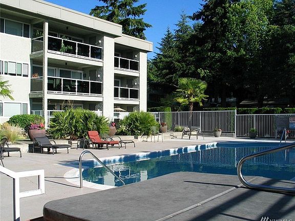 Oasis pool & gym