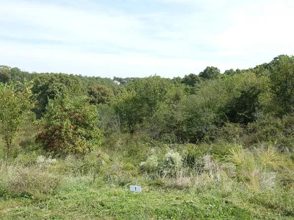 374 Emory Creek Road, Branson, MO 65616