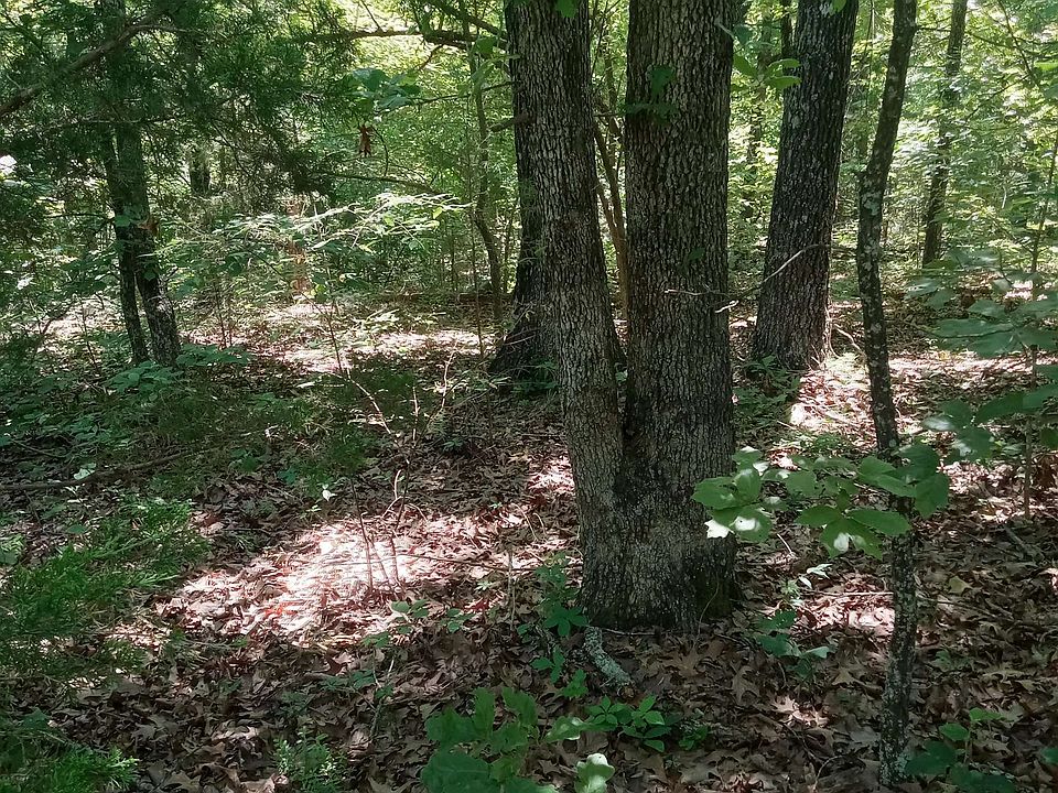 2nd image of 314 Country Spring Rd
