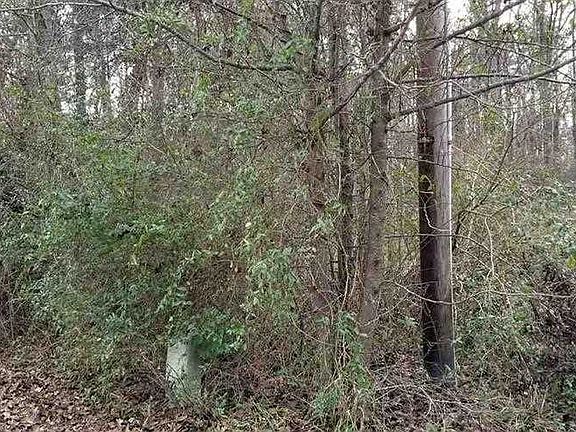 3rd image of 28 Heritage Dr