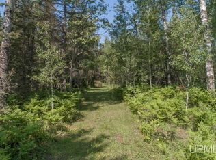 1684 County Road Sz Rd, Arnold, MI 49819