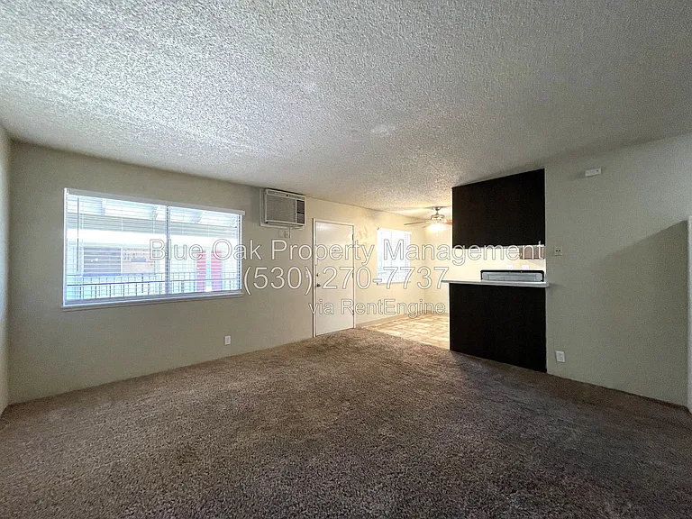 623 W 6th Ave #11 — Photo 4