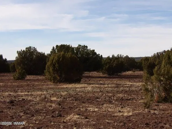 126 N3411, Vernon, AZ 85940