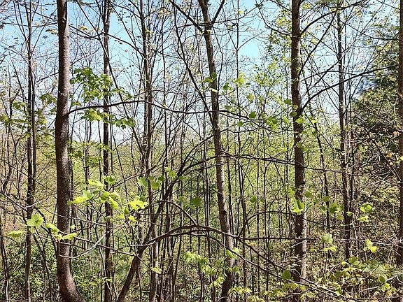 5th image of 0 Staghorn Rd