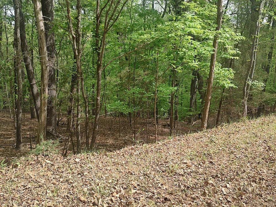 2nd image of 0 Shad Run Dr Lot 52