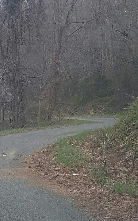 1st image of 4576 McAdam Crossing Dr