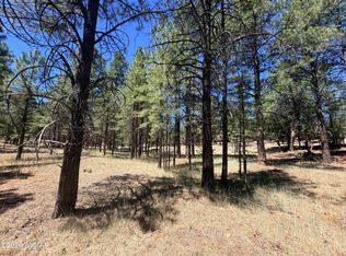 2124 Antelope Way, Happy Jack, AZ 86024