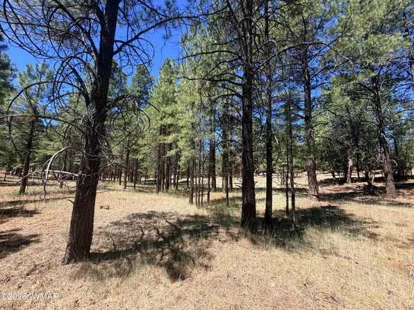 2124 Antelope Way, Happy Jack, AZ 86024