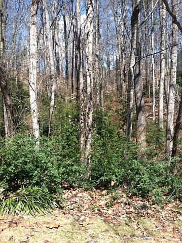 2nd image of 4583 Huntridge Dr NE