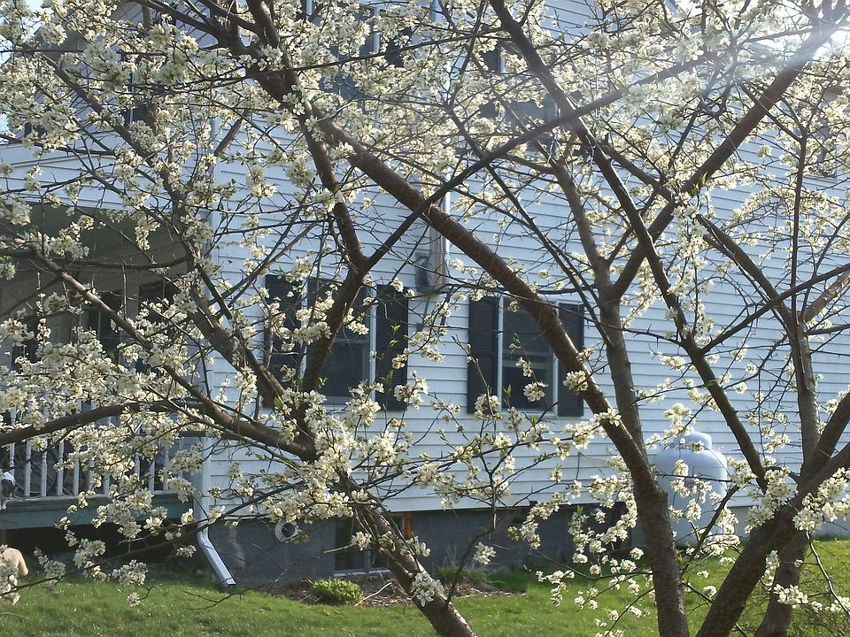 2nd image of 4435 McIntyre Rd