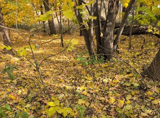 1213 W Park Front St, Joliet, IL 60436