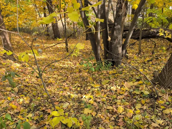 1213 W Park Front St, Joliet, IL 60436