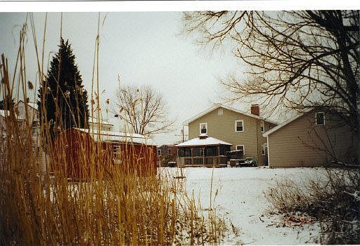 Rear/Shed & Gazebo