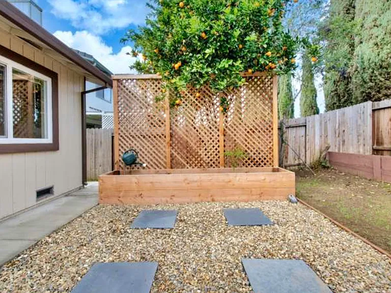 Orange tree and planter box for growing vegetables