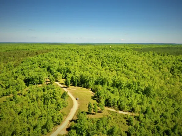 1017 Linden Farms Rd, Linden, TN 37096