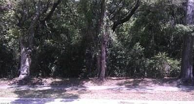 4th image of 1026 Martin Luther King Jr Blvd