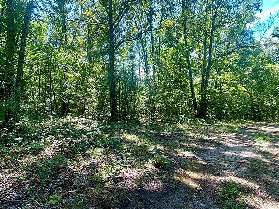 5th image of 330 Dogwood Trl