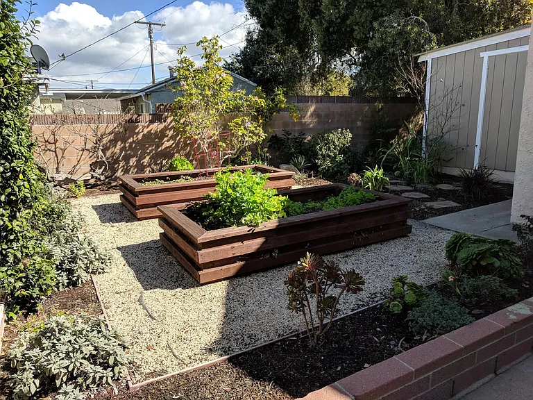 Backyard planters