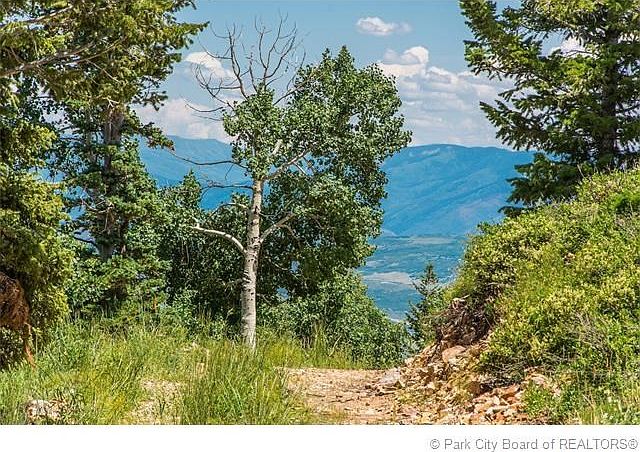 1st image of 243 White Pine Canyon Rd