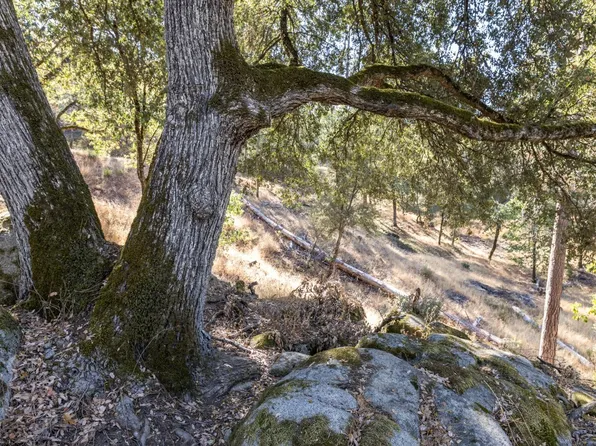 5310 Rooster Ln, Somerset, CA 95684