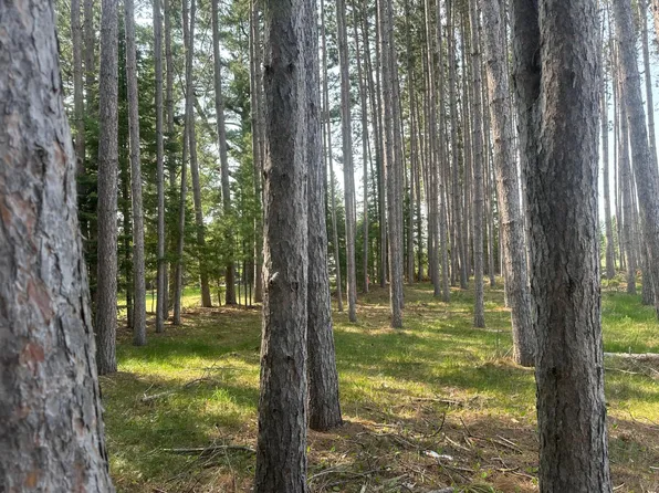 Illinois St W Lot 2, Eagle River, WI 54521