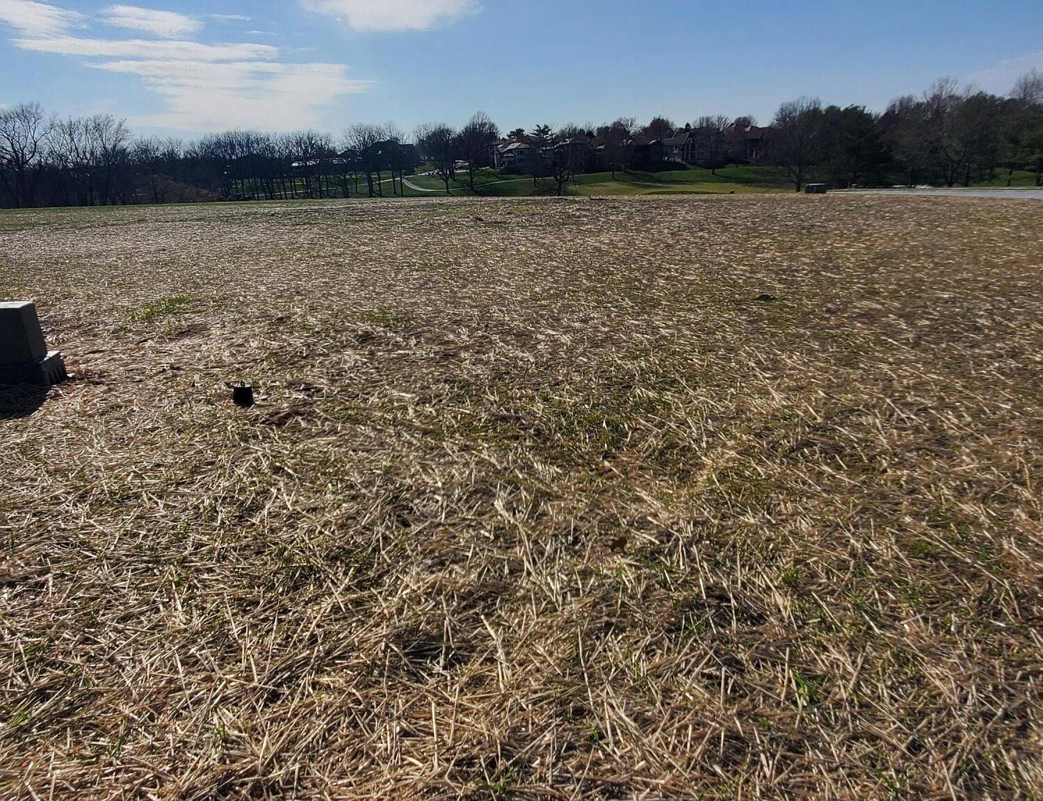 Lot 44 Vintage Pointe