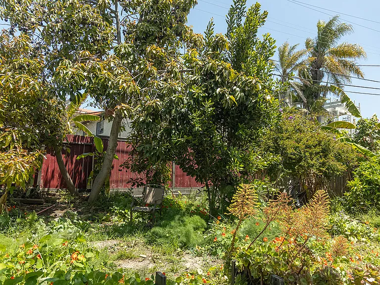 34458 Camino El Molino #B — Photo 8